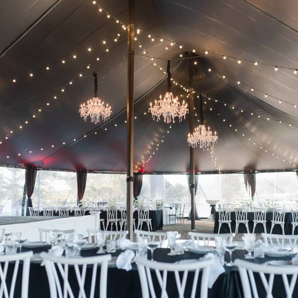 See what's new at Party Perfect in Richmond VA