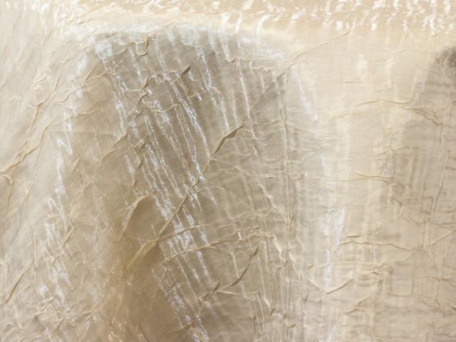 Rental store for Ivory Iridescent Crush Fabric in Richmond VA