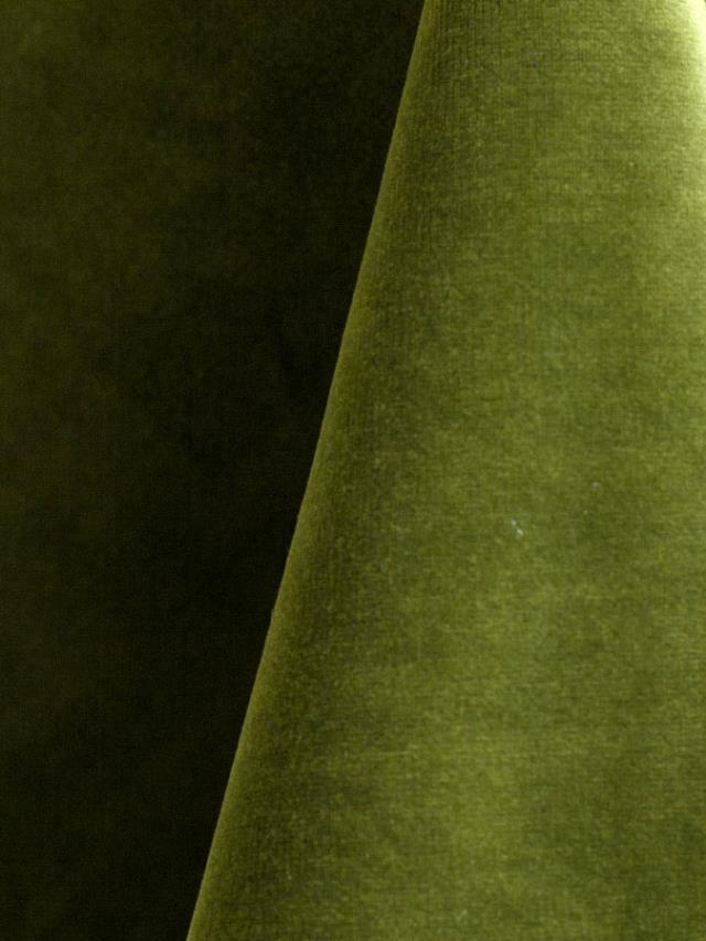 Rental store for Leaf Velvet Fabric in Richmond VA